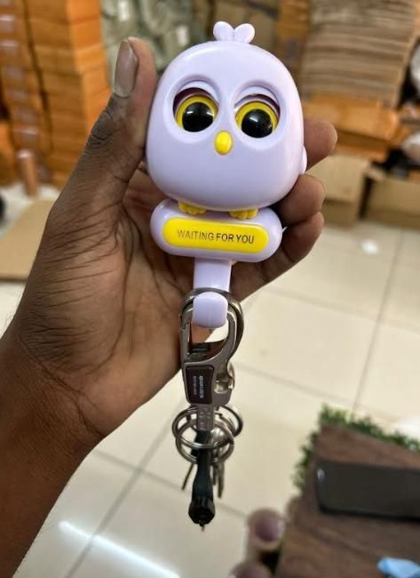 TechToys™ Keychain wall Owl Night Wall Magnetic Key Holder